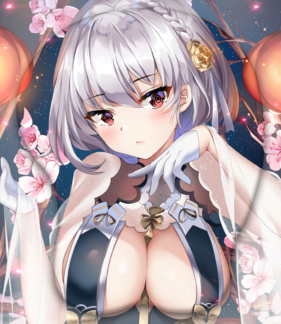 sirius 3d oppai mouse pad ver1 2977 - Boobie Mouse Pad